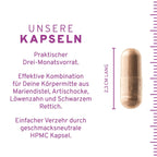 Mariendistel Plus Kapseln