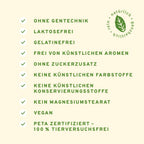 Bio Matcha Vanille Latte
