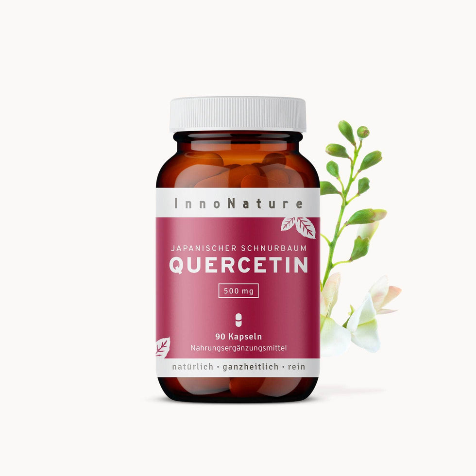 Quercetin 90 Kapseln