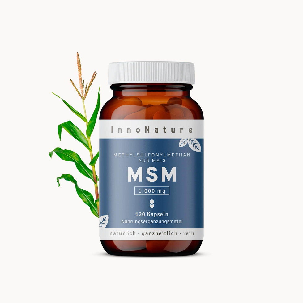 MSM Kapseln
