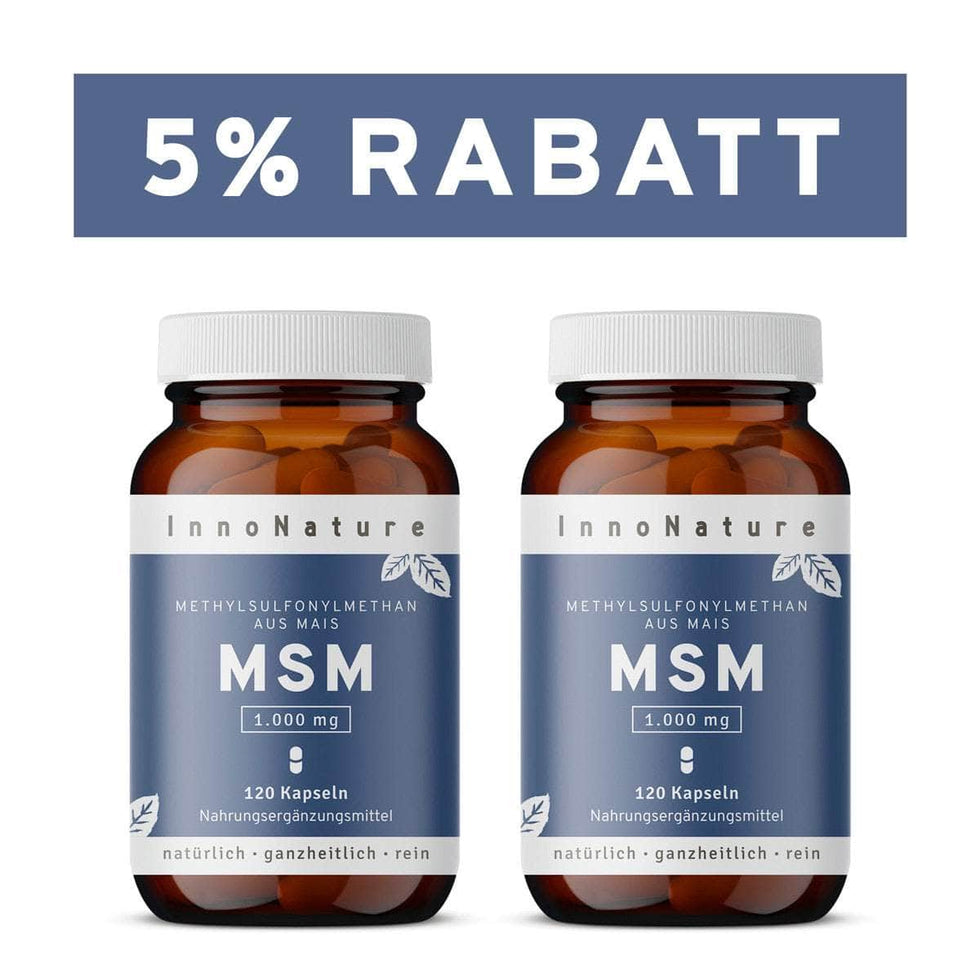 MSM Kapseln