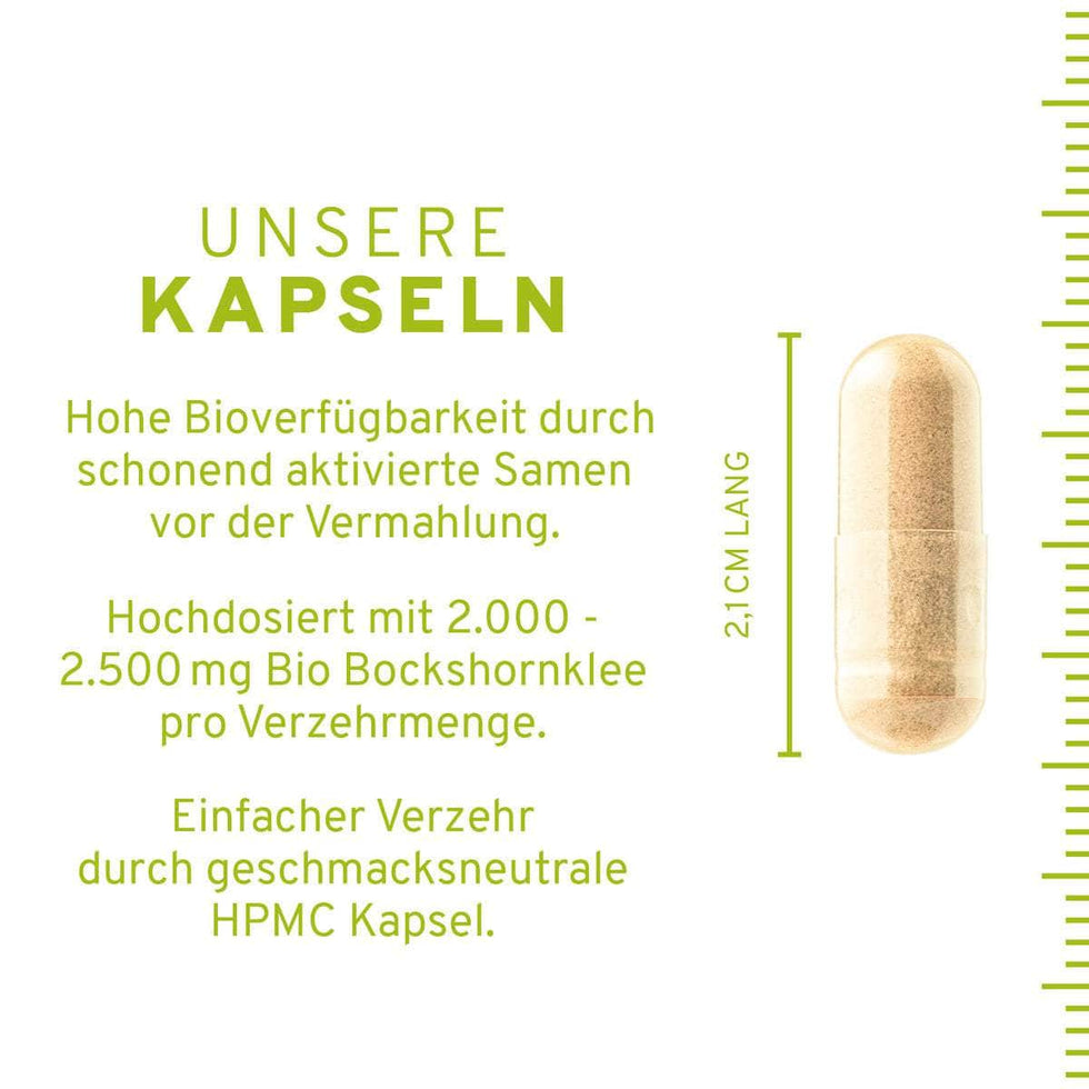 Bio Bockshornklee Kapseln