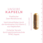 Eisen Kapseln (2-Monatsvorrat)