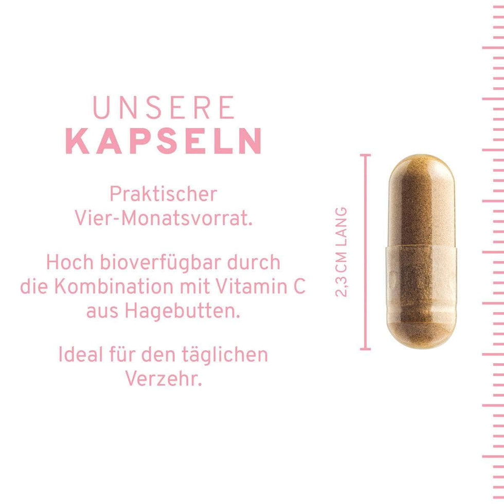 Eisen + Vitamin C Kapseln aus Curryblättern + Hagebutte