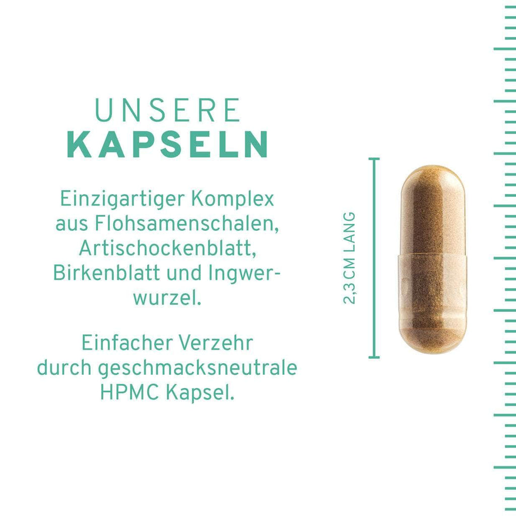 Flohsamenschalen Plus Kapseln