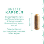 Flohsamenschalen Plus Kapseln