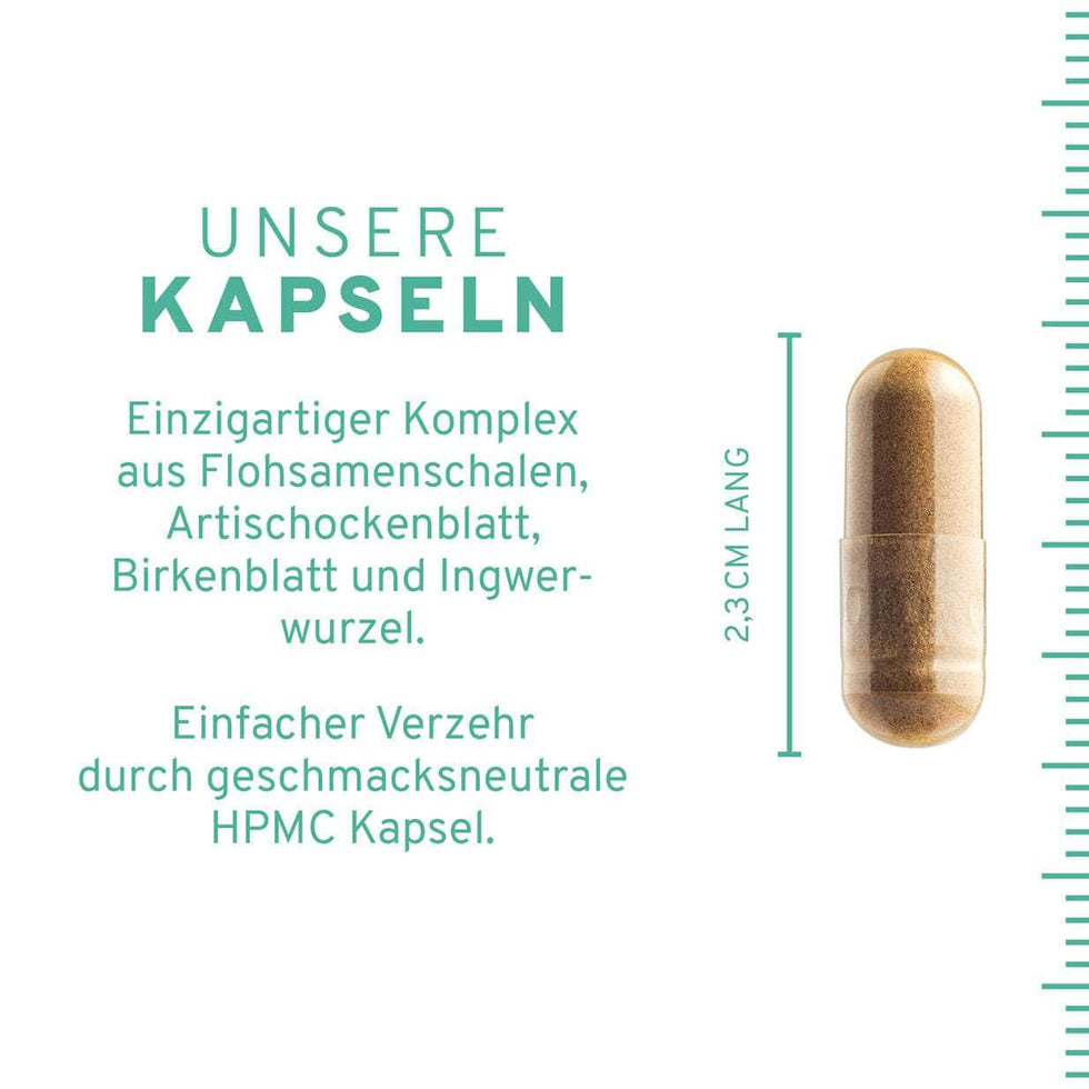 Flohsamenschalen Plus Kapseln