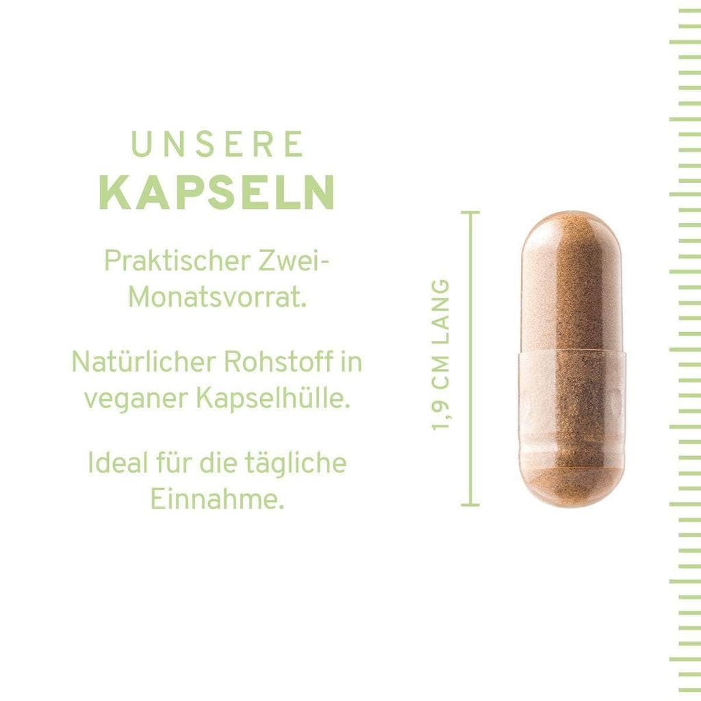 Guavenblätter: Natürliche Zink Kapseln