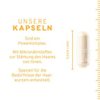 Haarwurzel Kapseln