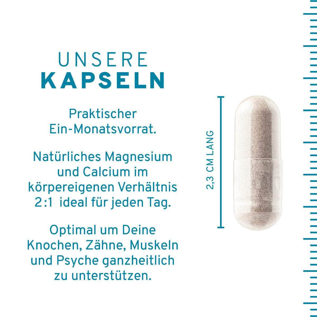 Magnesium + Calcium Kapseln