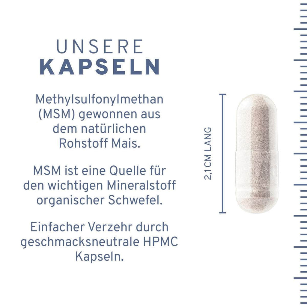 MSM Kapseln