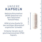 MSM Kapseln