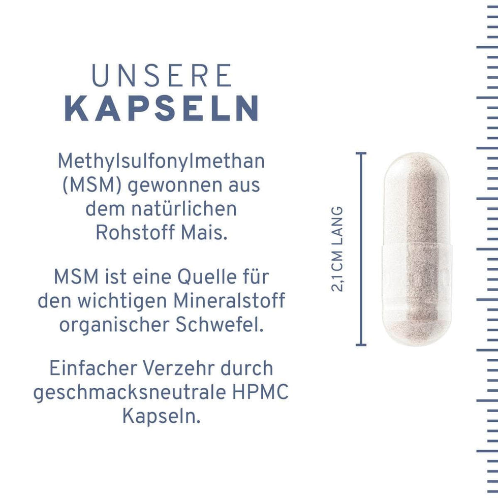 MSM Kapseln
