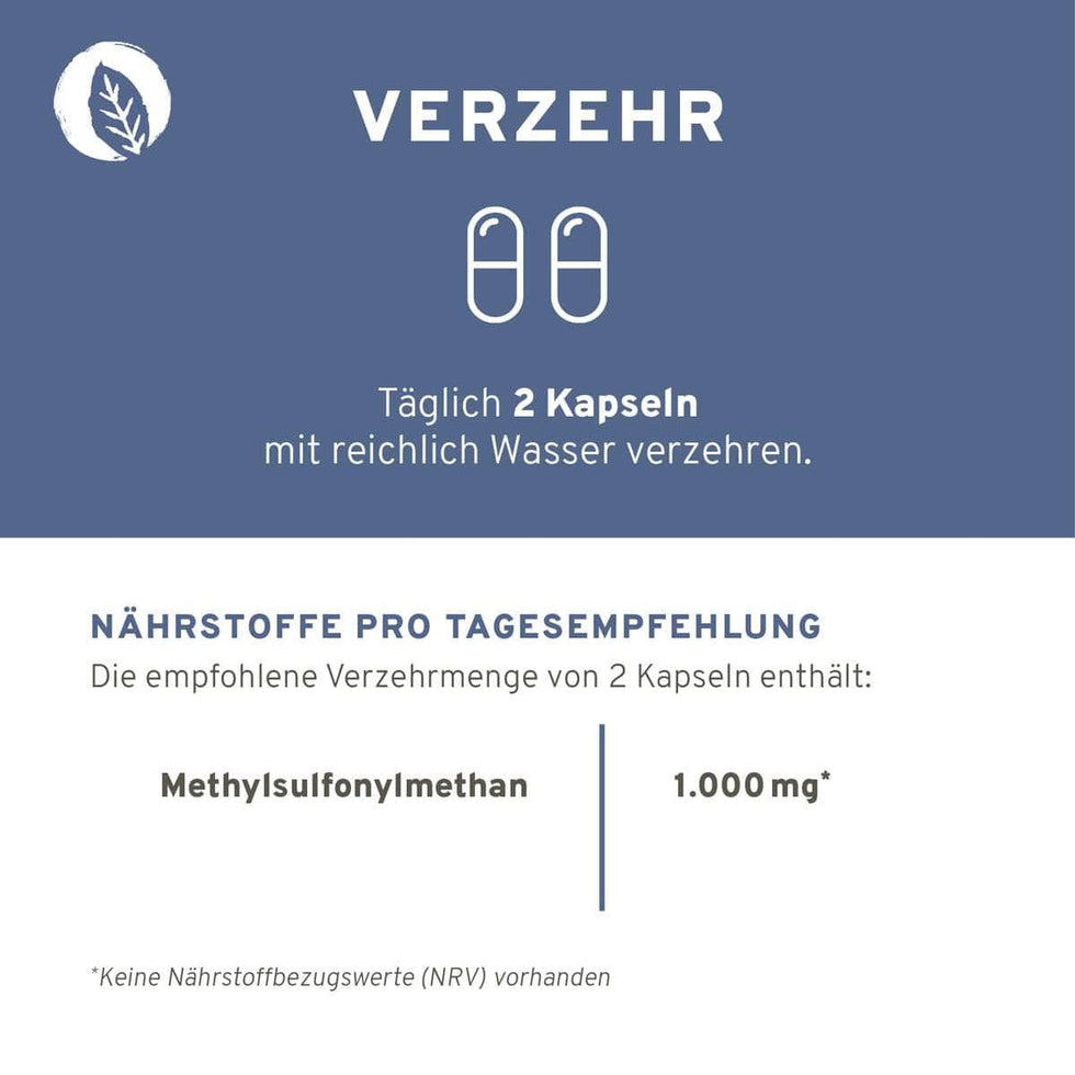 MSM Kapseln
