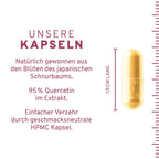 Quercetin 90 Kapseln