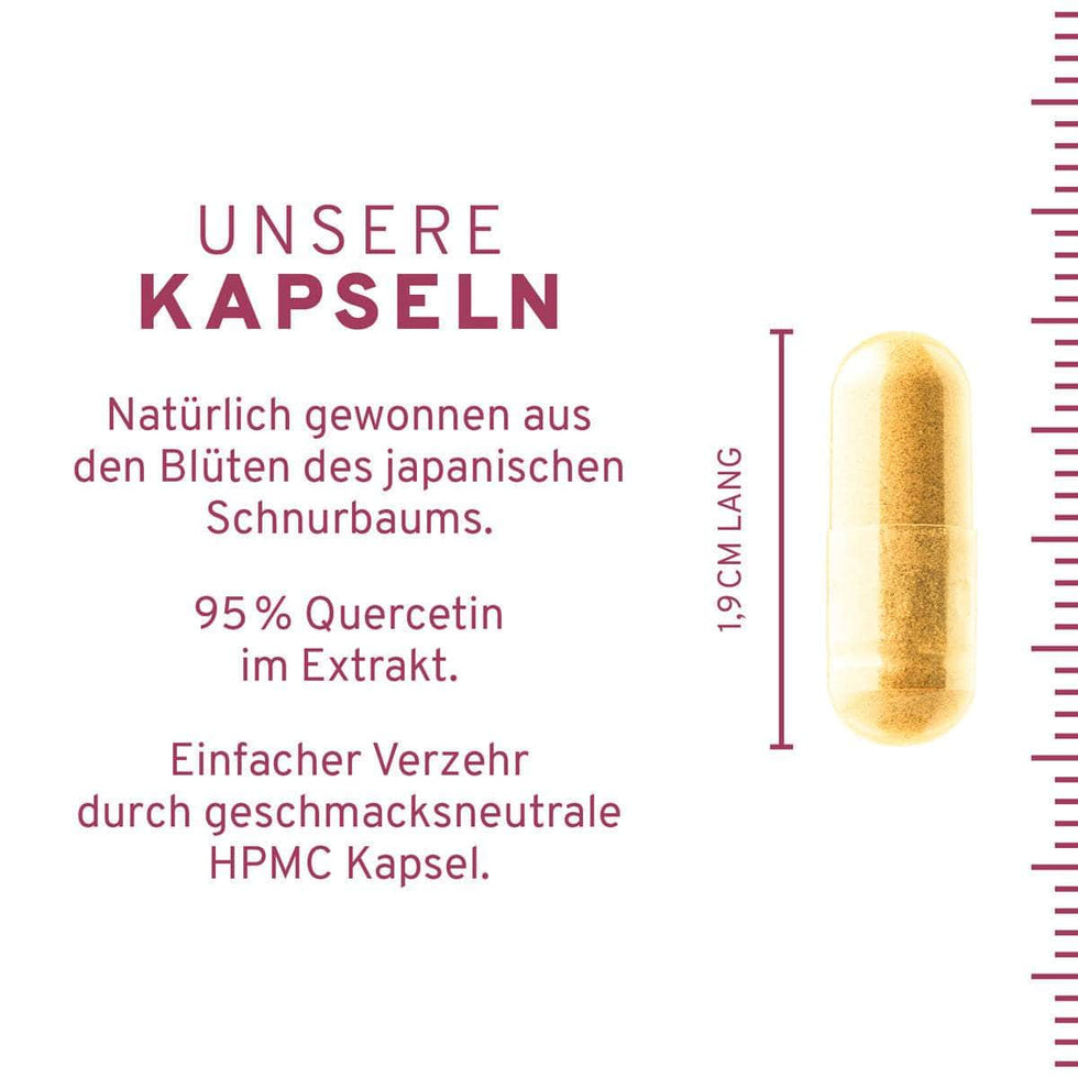 Quercetin 90 Kapseln