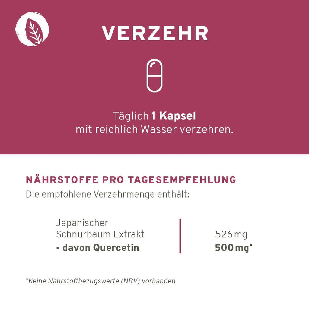 Quercetin 90 Kapseln