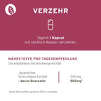 Quercetin 90 Kapseln