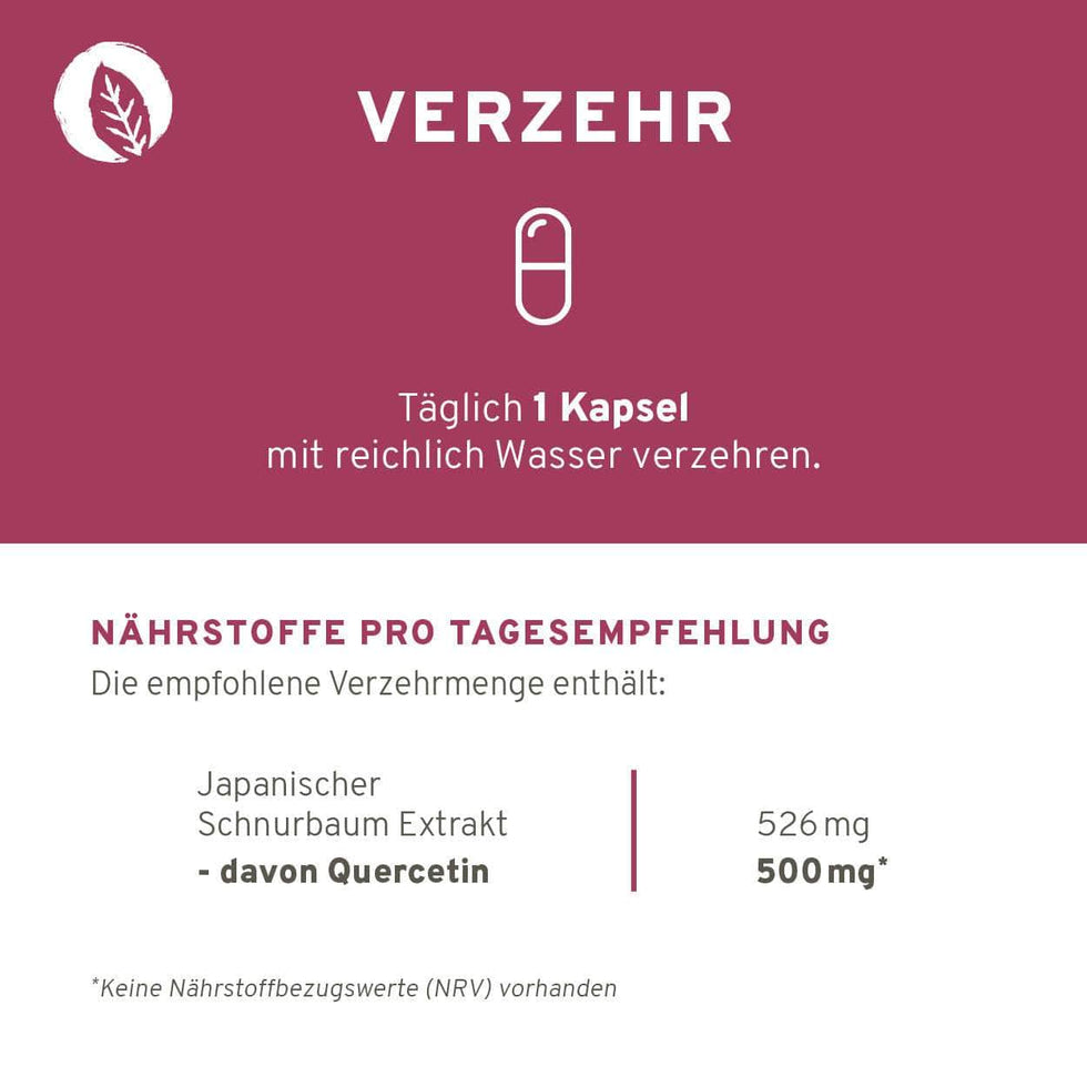Quercetin 90 Kapseln