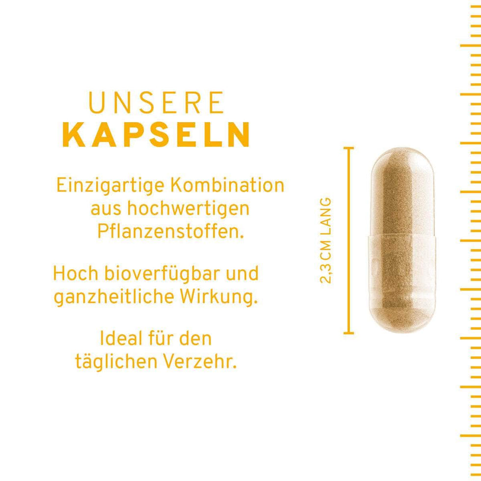Stoffwechsel Plus Kapseln