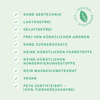 Vegan Komplex 60 Kapseln