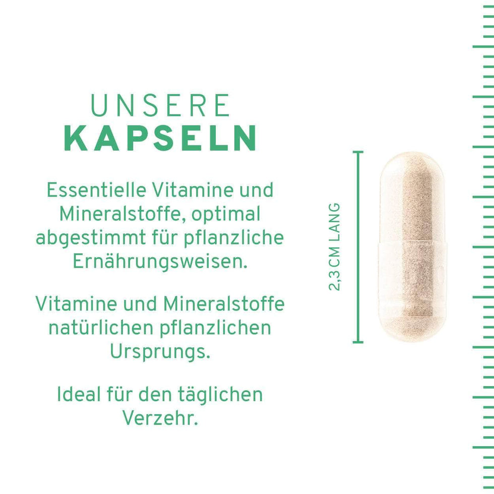Vegan Komplex 60 Kapseln