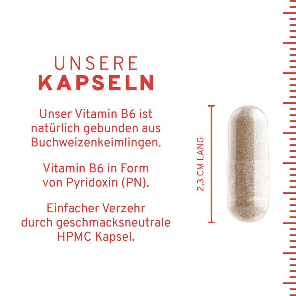Vitamin B6 Kapseln: Buchweizen Keimlinge