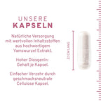 Wilde Yamswurzel Extrakt Kapseln