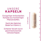 Zellschutz Kapseln:  Trans-Resveratrol + OPC + L-Glutathion + Hagebutte + Citrus-Bioflavonoide