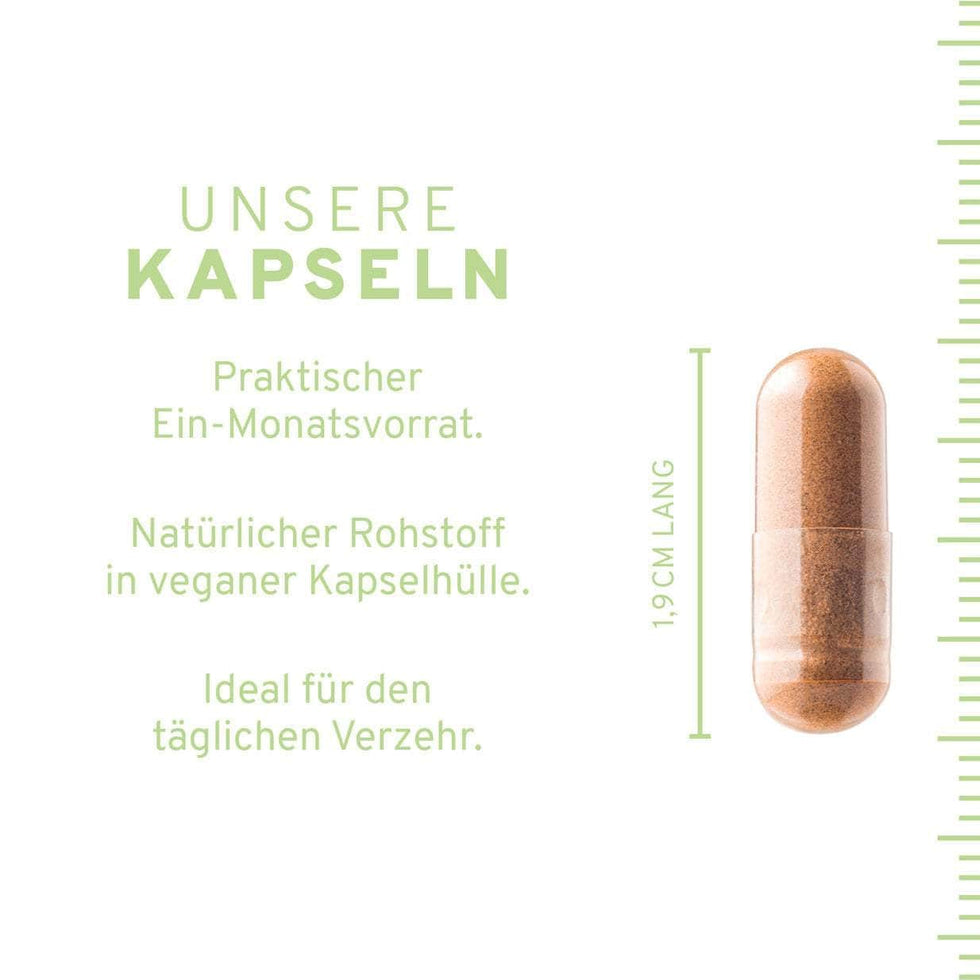 Zink Kapseln 1-Monatsvorrat