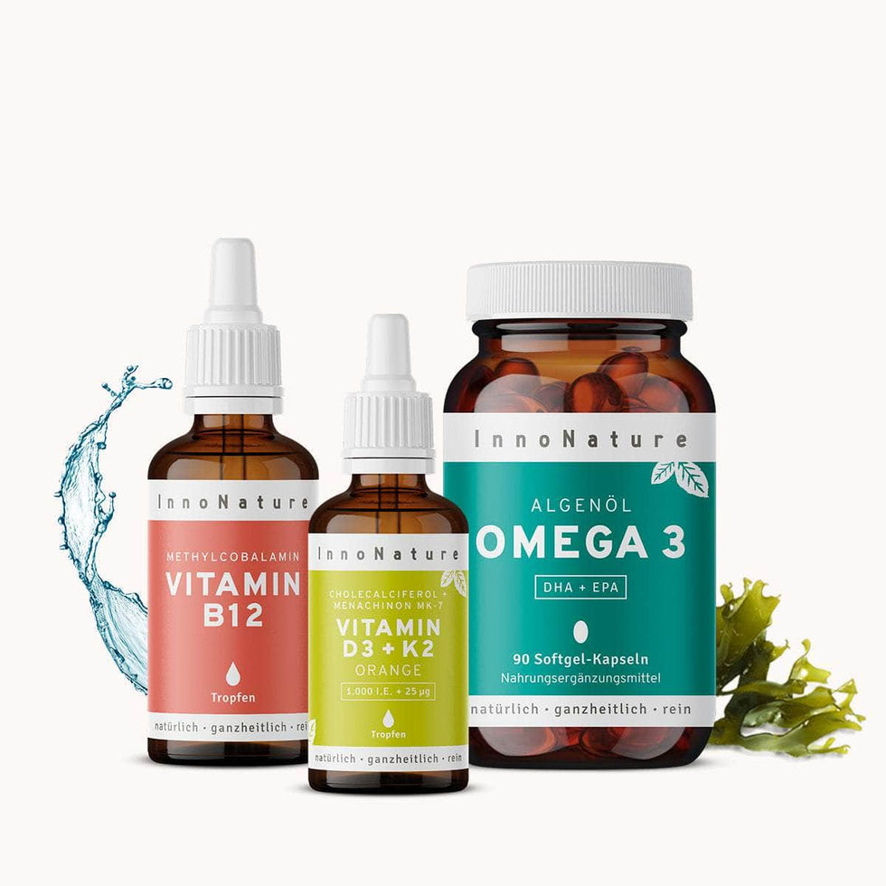 Vegan-Starter-Paket (Orange)