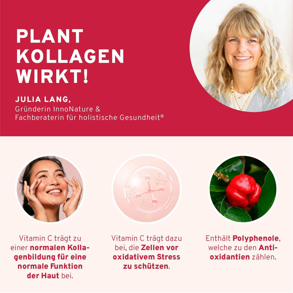 Kollagen-Support-Set