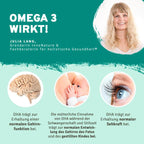 einfachleichter-Essential-Paket