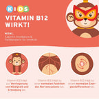 Kids-Paket