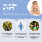 Gelenke und Regenerations-Paket