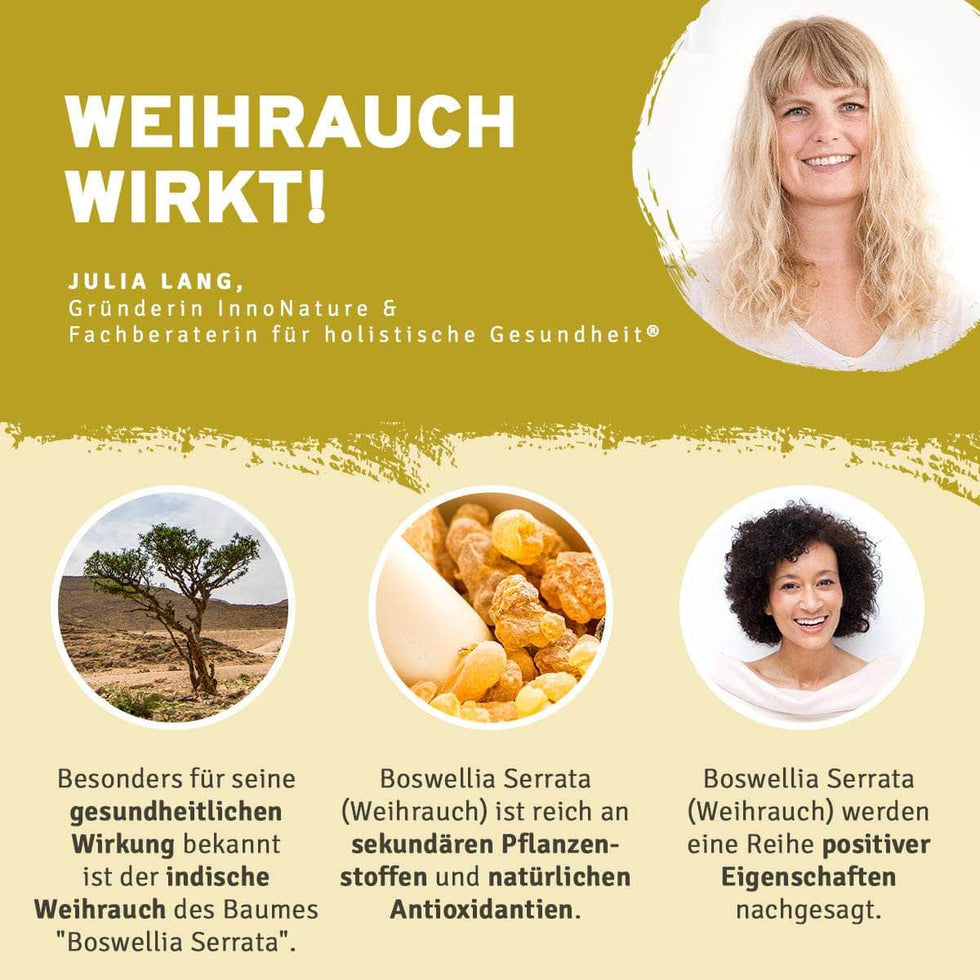 Gelenke und Regenerations-Paket
