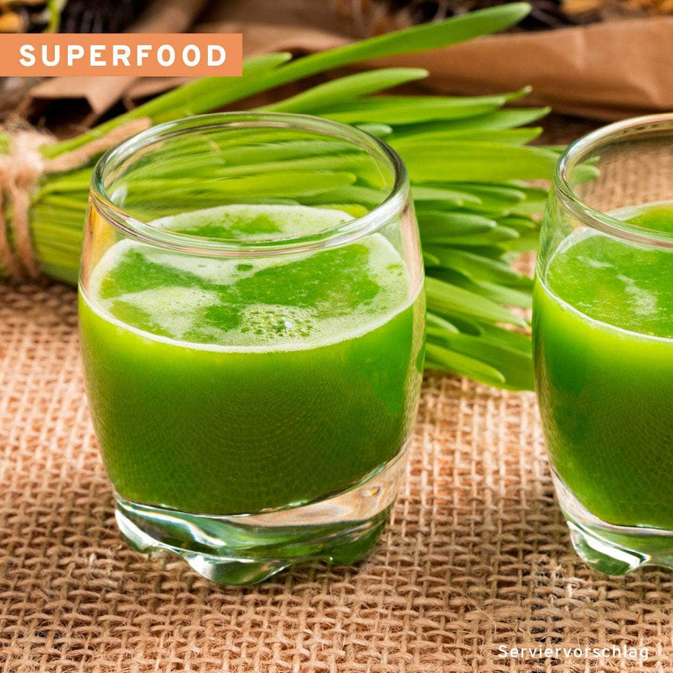 Bio Kurkuma Gerstengras Mix Superfood