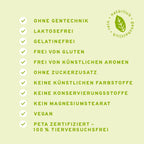 Bio Matcha Pulver 100g