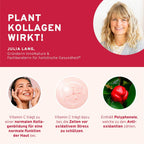 Plant Kollagen Support Plus Pulver