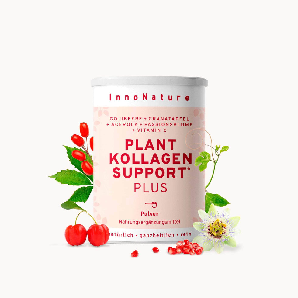 Plant Kollagen Support Plus Pulver