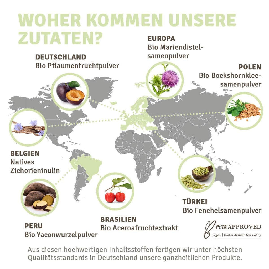 InnoNature Inno Darmkur 3 Tage Probierpackung