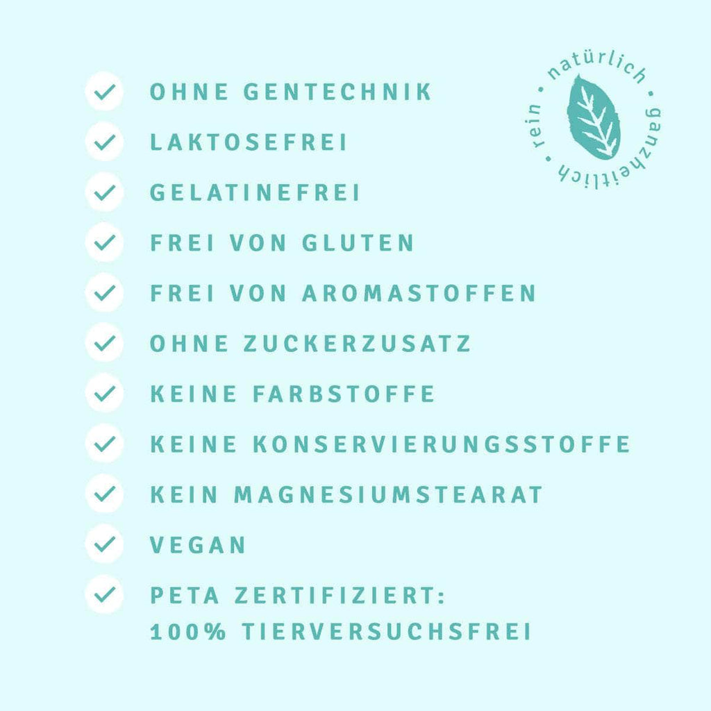 InnoNature Kapseln Fokus Kapseln: Grüner Tee, Ginseng, Ginkgo Biloba, Gotu Kola, Vitamin B12