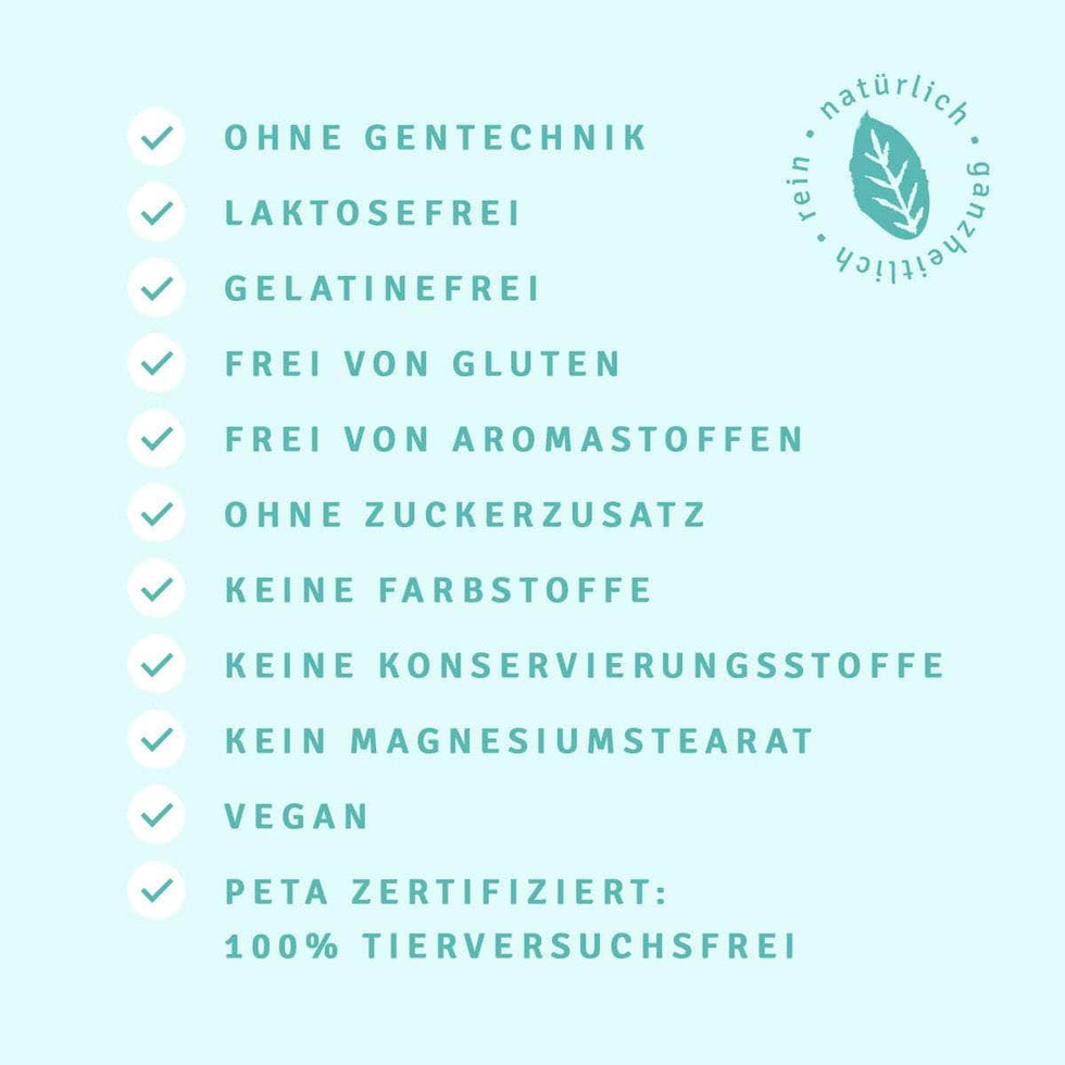 InnoNature Kapseln Fokus Kapseln: Grüner Tee, Ginseng, Ginkgo Biloba, Gotu Kola, Vitamin B12