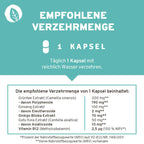 InnoNature Kapseln Fokus Kapseln: Grüner Tee, Ginseng, Ginko Biloba, Gotu Kola, Vitamin B12