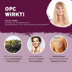 InnoNature Pakete 1x Vorrat (1x Haut Haare Nägel, 1x OPC, 1x Vitamin C, 1x Mikrobiom, 1x Curcuma, 1x Kurkuma Gerstengras) Beauty-Paket