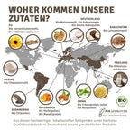 InnoNature Pulver 2 Portionen (30g) Mini Bio Veganer Protein Mix Kokos