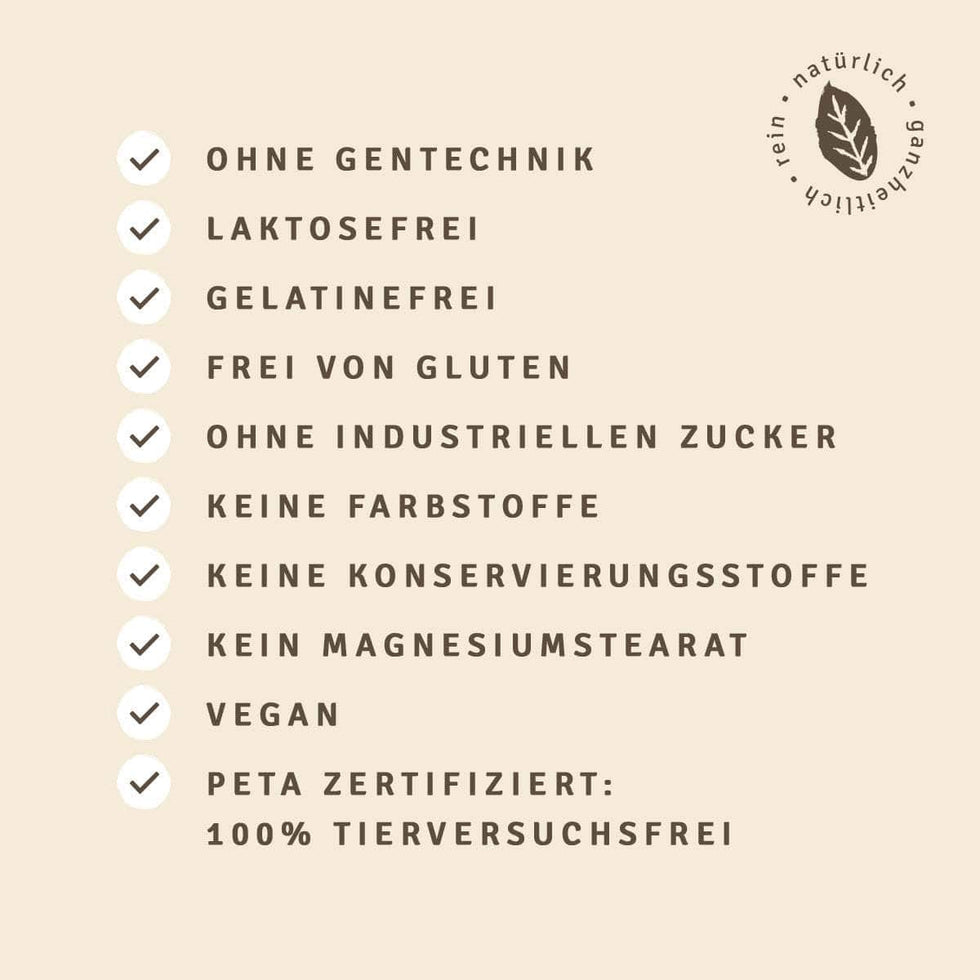 InnoNature Pulver 2 Portionen (30g) Mini Bio Veganer Protein Mix Kokos