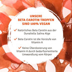 InnoNature Tropfen Beta Carotin Tropfen